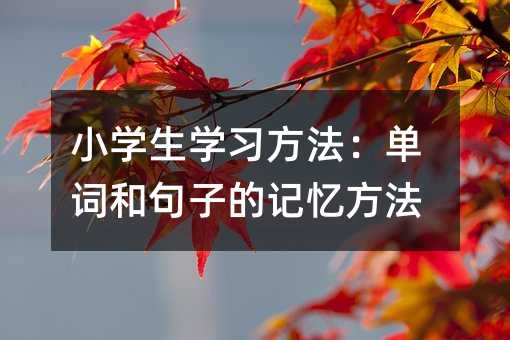 小学生学习方法:单词和句子的记忆方法