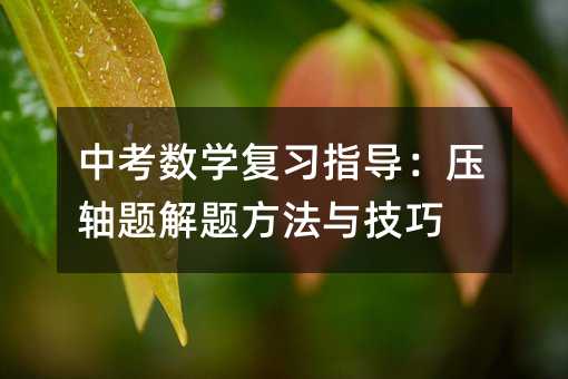 中考数学复习指导:压轴题解题方法与技巧