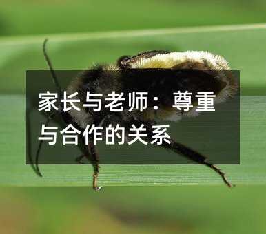 父母与老师：尊重与合作的关系