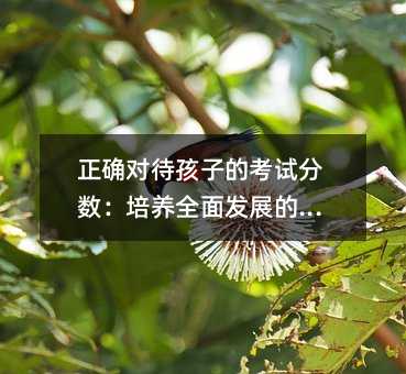 ȷԴӵĿԷȫ淢չ˲