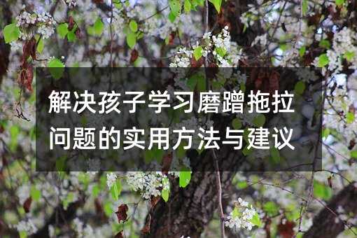 解决孩子学习磨蹭拖拉问题的实用方法与建议