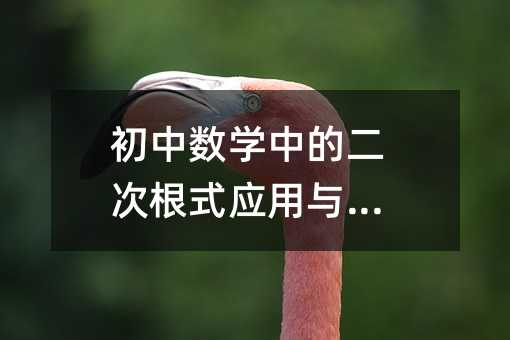 初中数学中的二次根式应用与技巧