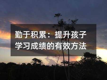 勤于积累:提升孩子学习成绩的有效方法