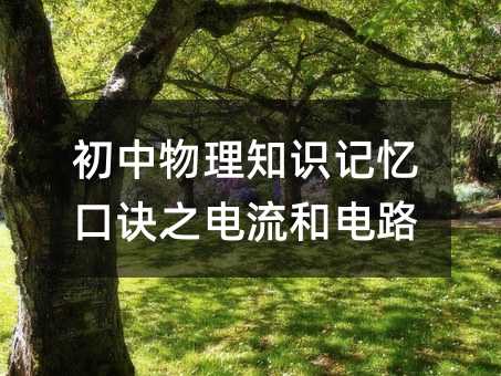 初中物理知识记忆口诀之电流和电路