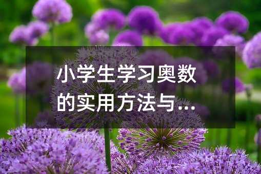 小学生学习奥数的实用方法与建议