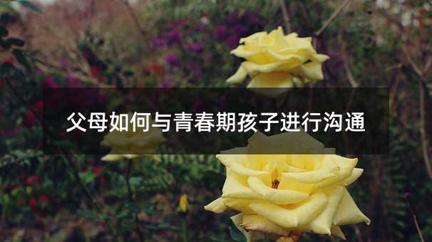 父母如何与青春期孩子进行沟通
