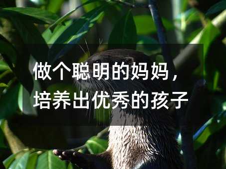 裬ĺ