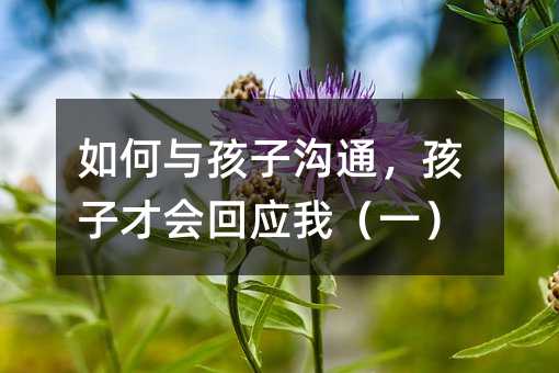 如何与孩子沟通,孩子才会回应我(一)