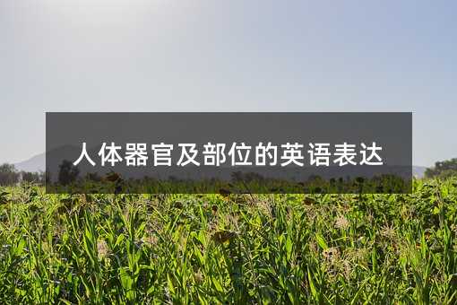 人体器官及部位的英语表达