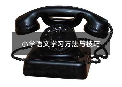 小学语文学习方法与技巧