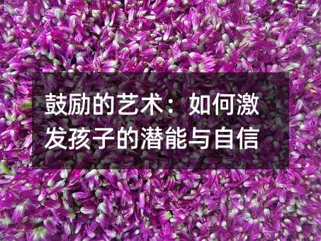 鼓励的艺术:如何激发孩子的潜能与自信