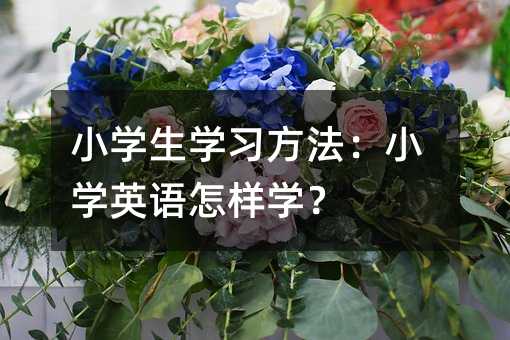 小学生学习方法:小学英语怎样学?