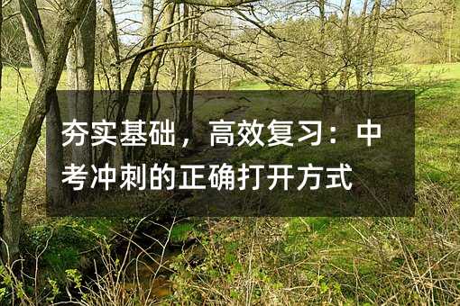 夯实基础,高效复习:中考冲刺的正确打开方式
