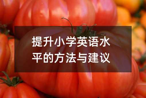 提升小学英语水平的方法与建议