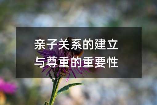 ӹϵĽصҪ
