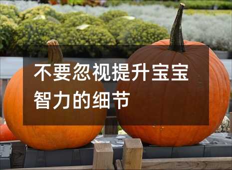 不要忽略提高孩子智商的细节
