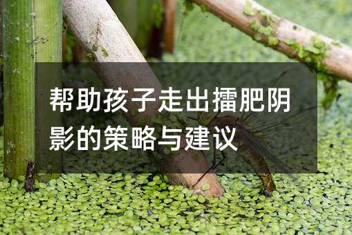 帮助孩子走出擂肥阴影的策略与建议