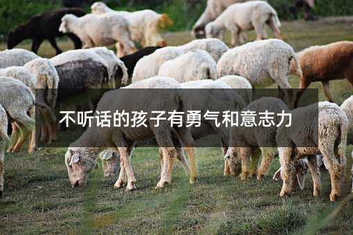 叛逆的孩子有勇气和意志力