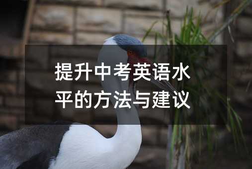 提升中考英语水平的方法与建议