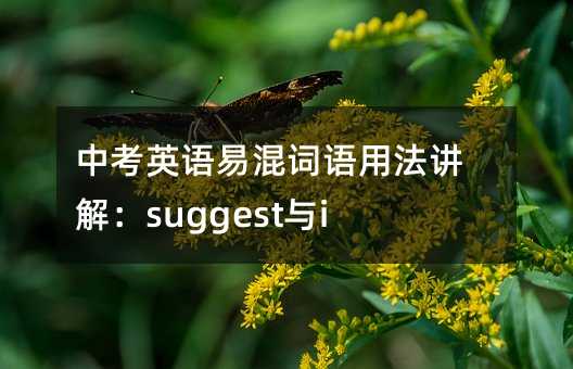 中考英语易混词语用法讲解:suggest与insist