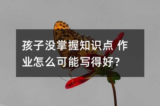 孩子没学会要点 作业如何可能写得好？