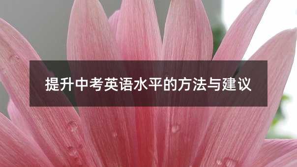 提升中考英语水平的方法与建议