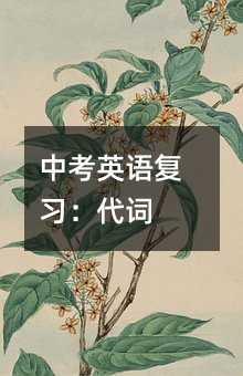 中考英语复习:代词