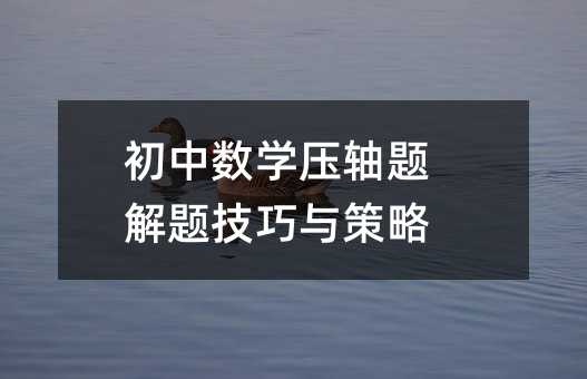 初中数学压轴题解题技巧与策略