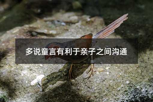 多说童言有利于亲子之间沟通