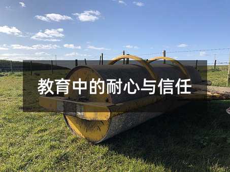 教育中的耐心与信任