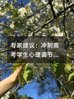 专家建议:冲刺高考学生心理调节最重要