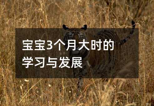 宝宝3个月大时的学习与发展