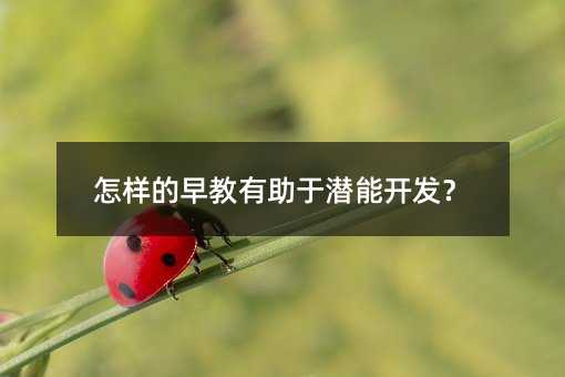怎样的早教有助于潜能开发？