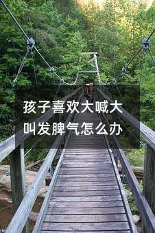 孩子喜欢大喊大叫发脾气怎么办