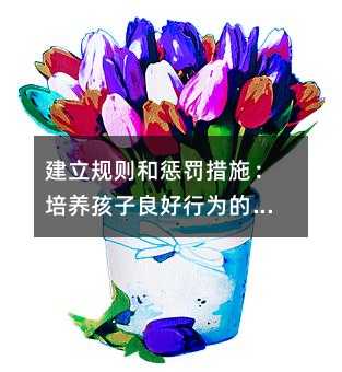 建立规则和惩罚措施:培养孩子良好行为的关键