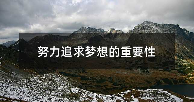努力追求梦想的重要性