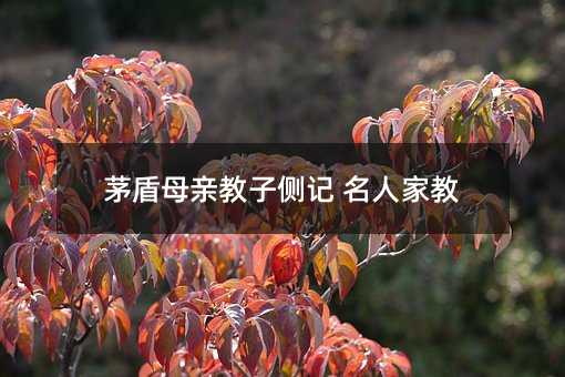 茅盾母亲教子侧记 名人家教