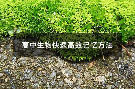 高中生物快速高效记忆方法