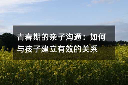 青春期的亲子沟通:如何与孩子建立有效的关系