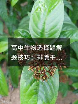 高中生物选择题解题技巧:排除干扰信息与精准解题
