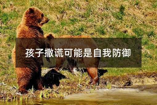 孩子说谎可能是自我防御