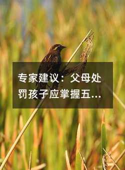 专家建议:父母处罚孩子应掌握五大诀窍