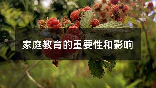 家庭教育的重要性和影响