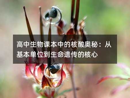 高中生物课本中的核酸奥秘：从基本单位到生命遗传的核心
