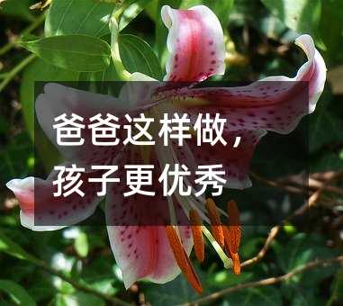 爸爸这样做,孩子更优秀