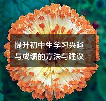 提升初中生学习兴趣与成绩的方法与建议