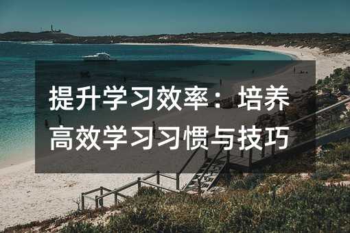 ѧϰЧʣЧѧϰϰ뼼