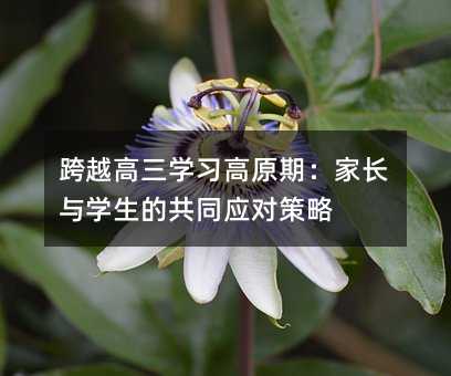 跨越高三学习高原期:家长与学生的共同应对策略
