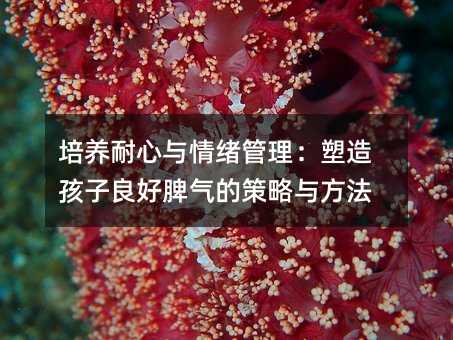 캢ƢĲ뷽