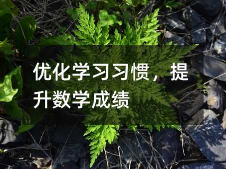 优化学习态度，提高数学成绩